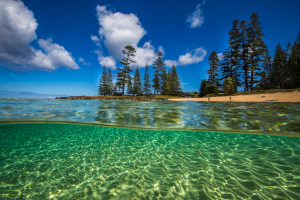 Emily Bay Underwater