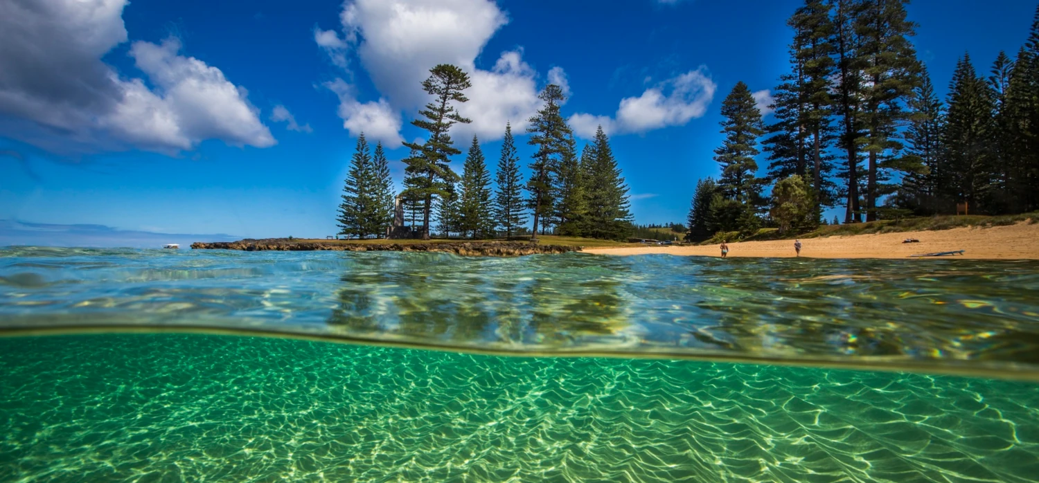 Baunti Tours - Emily Bay Underwater